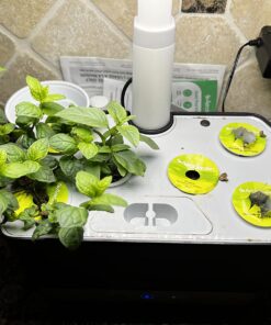 AeroGarden Gourmet Herb Seed Pod Kit - Herb Seeds for AeroGarden Indoor Garden, 6-Pod 31 71HwKW7hewL