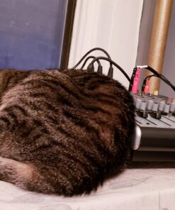 Behringer Xenyx 1204USB Mixer with USB 16 71HxLtRMU8L