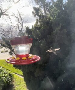 First Nature 993091-546 16 oz. Hummingbird Flower Feeder 26 71I1dpE9BxL