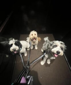 Mighty Paw Dual Dog Leash - Suitable for Two Dogs - Leash for 2 Dogs No Tangle - Leash Splitter - Large and Small Dog Compatible - Dual Leash Attachment - Double Clip Dog Leash Coupler - Dog Splitter Double Leash Standard | Dogs 30+ lbs 35 71I4QOY39L