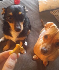 Old Mother Hubbard by Wellness Classic Original Mix Natural Dog Treats, Crunchy Oven-Baked Biscuits, Ideal for Training, Mini Size, 3.8 pound bag Treats (3.8 lb) 3.8 Pound (Pack of 1) 39 71I5lv1RzwL