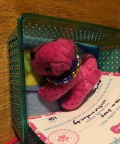 Plush Neon Dogs (1 dozen) - Bulk, Assorted Colors 25 71I6OSnieIL