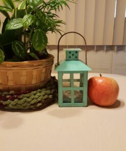 Kate Aspen, Distressed Metal Vintage Decorative Mini Lantern, Centerpiece, Party Favor, 2.5 x 2.5 x 6.5, Blue Small 45 71I6wHq w2L