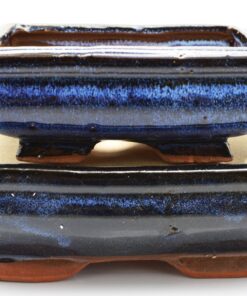 0 9GreenBox - 2 Ceramic Bonsai Pots 6/8 9 71I8 v56grL