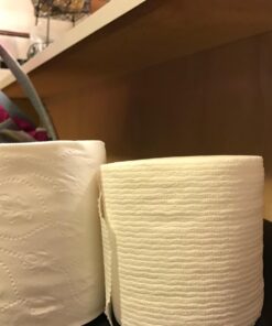 Cottonelle CleanCare Family Roll + Toilet Paper, Bath Tissue, 18 Toilet Paper Rolls 29 71IBaAPnhJL