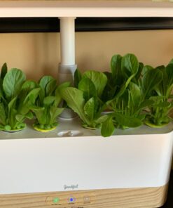 AeroGarden Mixed Romaine Lettuce Seed Pod Kit (6-pod) 6-pod 38 71IEaGXEM0L