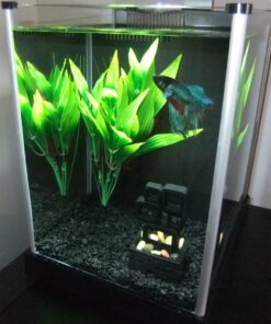 Fluval SPEC Freshwater Aquarium Kit, Aquarium with LED Lighting and 3-Stage Filtration, 2.6 Gallon, Black, Large Breeds 2.6 Gal. 59 71IGI7gyLyL