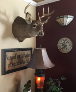 Desperate Enterprises TSN1608-BRK S&W Round Logo 15 71IK97pTbdL