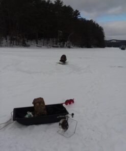 Mr. Heater F242300 MH15C 10,000-15,000 BTU Cooker, Chrome 15 71IKiYcio6L