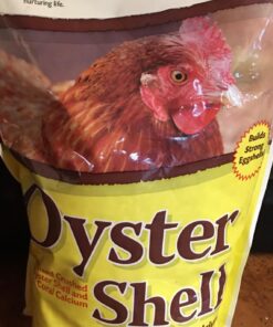 Manna Pro Crushed Oyster Shell Calcium Supplement For Laying Chickens - Poultry Treat - 5 lbs. 5 Pound (Pack of 1) 41 71IM2wxsWxL