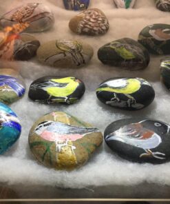 Winco , Medium, Clear 2 Tier 15 71IQY8oGMHL