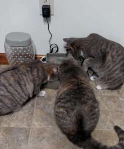 PetSafe Multi-Tier Fountain – Large Waterer Great for Cats and Dogs – 2 Heights to Drink From – Great for Senior Pets – 100 Oz Capacity – Fresh, Filtered Water 40 71IRkYSUdHL 1