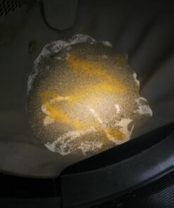 Dr. Elsey’s Premium Clumping Cat Litter - Ultra - 99.9% Dust-Free, Low Tracking, Hard Clumping, Superior Odor Control, Unscented & Natural Ingredients 29 71IS3ERLFVL