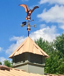 Good Directions 955P Smithsonian Eagle Weathervane, Pure Copper 38 71ISz3fL0SL