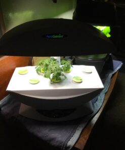AeroGarden Salad Greens Mix Seed Pod Kit, 7 pod 42 71IUlI3LBJL