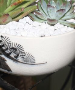 GloFish aquarium Gravel 5 Pounds, White, Complements GloFish Tanks (29022) White Frost 56 71IYiZ1kbVL