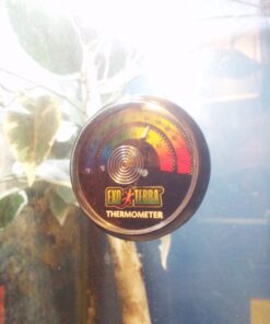 Exo Terra Terrarium Hydrometer One Size May Vary 20 71IZPrCRRqL