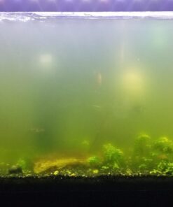 SunSun JUP-01 9W UV Sterilizer Submersible Filter Pump 77 71IaSi8ALZL