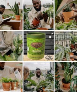 EarthPods Organic Indoor Plant Fertilizer Spikes – All Purpose House Plant Food Sticks (100 Concentrated Capsules) – Potted Plants – Best Gardening Gifts for Women – Made in USA Indoor Plant Food Fertilizer 49 71IaoILiBzL 1
