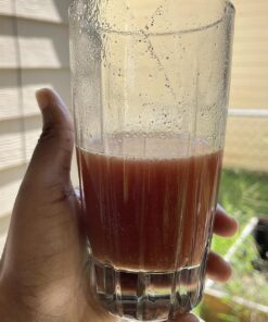 Organic Muscle Superfood Pre Workout Powder for Men & Women, Lemon Berry - USDA Organic Preworkout Supplement for Endurance - Vegan, Natural, Plant-Based, & Low Caffeine Pre-Workout Energy Powder Large (Pack of 1) 27 71IciKS1beL