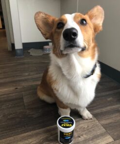 Farnam SWAT CLEAR Horse Fly Control for Horses, Ponies and Dogs, 7 ounce jar 41 71IcpmkeIEL