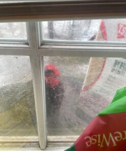 Hatortempt 5lbs Non-GMO Dried Mealworms - Premium Organic Chicken Feed, Nutritious High Protein Meal Worms- Food and Treats for Laying Hens, Wild Birds, Ducks, Reptiles, Fish, Hedgehogs, Turtles 5 Pound (Pack of 1) 41 71Ifni8Xy7L