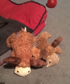 KONG Cozie Marvin Moose, Indoor Cuddle Squeaky Plush Dog Toy for Medium Dogs, Brown, 1 25 71IhrgmshiL