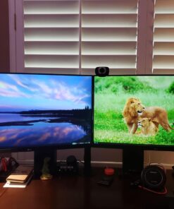 WALI Dual LCD Monitor Fully Adjustable Desk Mount Stand Fits Two Screens up to 27 inch, 22 lbs. Weight Capacity per Arm (M002), Black 54 71IhxNdGcML