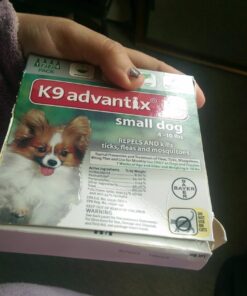 K9 Advantix II Small Dog Vet-Recommended Flea, Tick & Mosquito Treatment & Prevention | Dogs 4-10 lbs. | 4-Mo Supply, 4 Pack Small Dog only 25 71IjiUX5rL