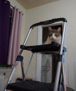 Cosco Three Step Max Steel Work Platform 34 71IkKS40aL