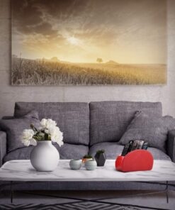 Londo Remote Control Holder with 5 Pockets - Store DVD, Blu-Ray, TV, Roku or Apple TV Remotes - PU Leather with Suede Lining - Slim, Compact Living or Bedroom Storage Red 15 71IlbsI1B1L