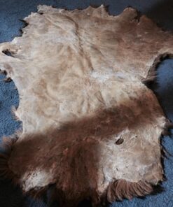 Knoblochs Deer Hunter's & Trapper's Hide & Fur Tanning Formula Multi Pack 1 30 71Ima3jCrRL