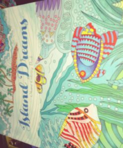 Adult Coloring Book: Island Dreams: Vacation, Summer and Beach: Dream and Relax with Gorgeous Illustrations Paperback, Large Print 38 71InS7dJB0L