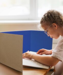 Flipside Study Carrel, 48 x 12, Assorted Colors, 24/Pack 24 Pack 12 71Io12qOu6L