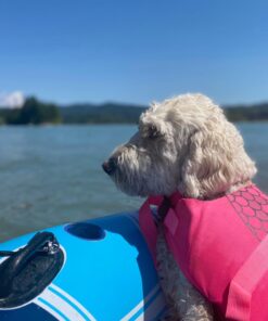 Bestway CoolerZ Rapid Rider Inflatable 2 Person Blow Up Pool River Tube Lake Lounger Float with Cup Holders, Handles, Backrest and Mesh Bottom, Blue 19 71IpXuuXqZL