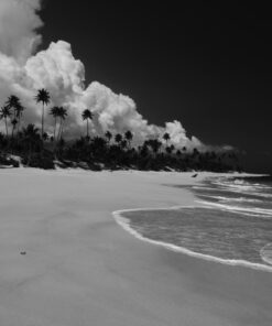 Nikon AF-S NIKKOR 35mm f/1.8G ED Fixed Zoom Lens with Auto Focus for Nikon DSLR Cameras Lens Only Standard Packaging 56 71IpnCW1WOL