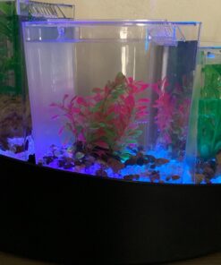 Aqueon Betta Falls 3 Section Aquarium Fish Tank With QuietFlow Power Filtration, Black 47 71IpvNYg8dL