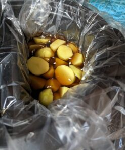 Proctor Silex Double Dish Slow Cooker with 6qt Crock and Dual 2.5qt Nonstick Insert to Cook Two Meals at Once, Dishwasher Safe Pot & Lid, Silver (33563) 34 71ItKZaU84L