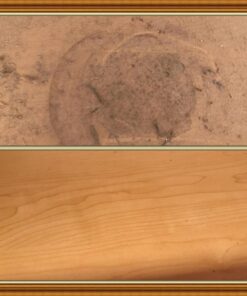 Goo Gone Kitchen Degreaser - Removes Kitchen Grease, Grime and Baked-on Food - 28 Fl. Oz. 28 Fl Oz (Pack of 1) 31 71J2D92D1VL