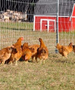 Premier 48" PoultryNet® Electric Fence 12/48/3, 164', Double Spike, White 21 71J2W324BRL