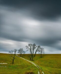 Breakthrough Photography 82mm X2 10-Stop Fixed ND Filter for Camera Lenses, Neutral Density Professional Photography Filter, MRC8, H-K9L Glass, Nanotec, Ultra-Slim, Weather-Sealed X2 ND 10-STOP 7 71J2coA2ML