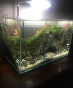 ONF Flat Nano Full Spectrum LED Aquarium Light, Dimmable 7000K / 1300lm, for <10 Gallons Rimless Fish Tanks, Freshwater Aquatic Plant Growth, Terrarium Spotlight, Potted Plant IP54 Waterproof (Silver) Silver 34 71J2de2xPML