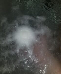 Pure Scentum Extra Large 6oz Vegan Bath Bombs for Women - US Made Organic 6 Relaxing Bath Bomb Gift Set for Women – Luxurious, Organic Bath Bombs for Women and Men (BombeLaLaLa) Bombelalala 55 71J33xn690L