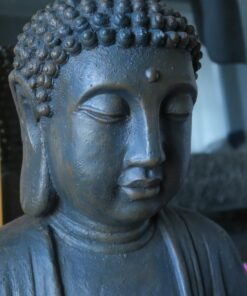 Design Toscano AL1614 Meditative, The Grand TempleIndoor StatueCabinet on Wheels Indoor/Outdoor Garden Statue, 20 Inches Wide, 15 Inches Deep, 26 Inches High, Handcast Polyresin, Dark Stone Finish Meditating Buddha 43 71J4gHvo1L