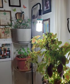 ePhoto Hydroponic Full Spectrum CFL Grow Light Bulb 60 Watt Bulb 5500K H60 28 71J5E2FdSBL