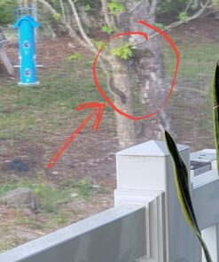 Perky-Pet 391 Metal Tube Wild Bird Feeder, Blue Sturdy 38 71J5eFnyiOL