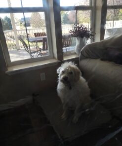 Meguiar's PlastX Clear Plastic Polish, Fast & Easy Plastic Restorer for Headlights, Taillights, Soft Top Windows, and More, Remove Scratches, Cloudiness, Yellowing, and Oxidation, 10 oz. 53 71J6SIqhFcL