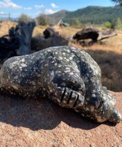 BOSCH 4-1/2 Inch Angle Grinder GWS8-45 Adjustable 17 71J87kpZuJL