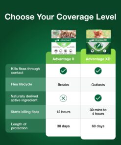 Advantage II Small Cat Vet-Recommended Flea Treatment & Prevention | Cats 5-9 lbs. | 6-Month Supply 6 Pack Small Cat only 24 71J9dBYo5oL