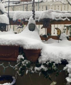 Design Toscano AL1614 Meditative, The Grand TempleIndoor StatueCabinet on Wheels Indoor/Outdoor Garden Statue, 20 Inches Wide, 15 Inches Deep, 26 Inches High, Handcast Polyresin, Dark Stone Finish Meditating Buddha 51 71J9h0EgafL